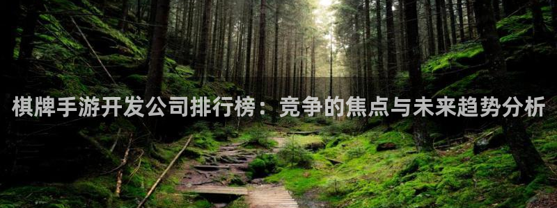 汇丰娱乐官网预测：棋牌手游开发公司排行榜：竞争的焦点与未来趋