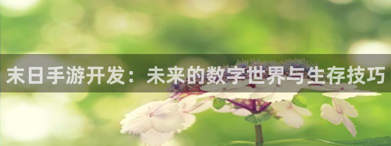 汇丰娱乐怎么了：末日手游开发：未来的数字世界与生存技巧