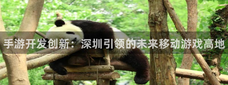 汇丰娱乐官方开奖：手游开发创新：深圳引领的未来移动游戏高地
