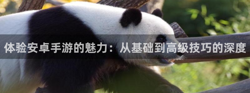 pc汇丰娱乐预测吧：体验安卓手游的魅力：从基础到高级技巧的深