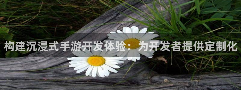pc汇丰娱乐下载：构建沉浸式手游开发体验：为开发者提供定制化