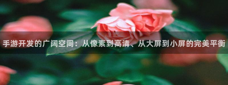 汇丰娱乐老版本的使用方法及注意事项：手游开发的广阔空间：从像