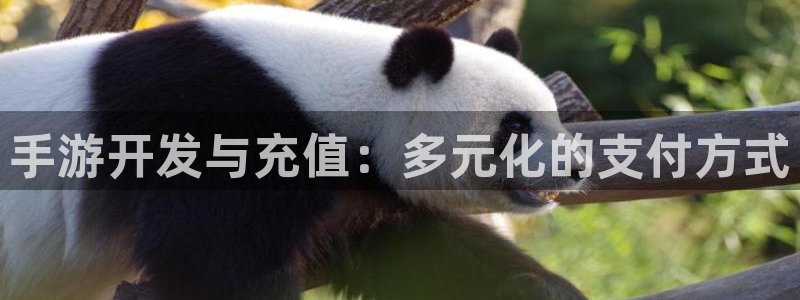 汇丰娱乐预测安卓下载：手游开发与充值：多元化的支付方式