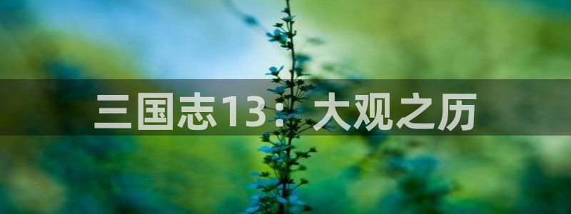 汇丰娱乐最新版苹果版下载：三国志13：大观之历