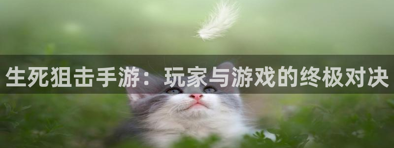 汇丰娱乐论坛算法：生死狙击手游：玩家与游戏的终极对决