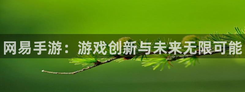 汇丰娱乐app苹果下载链接：网易手游：游戏创新与未来无限可能