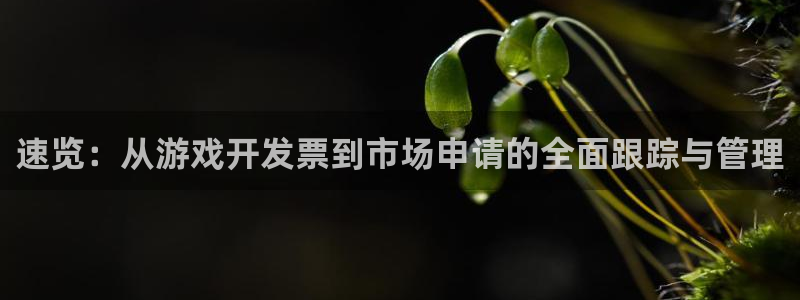 汇丰娱乐官方开奖：速览：从游戏开发票到市场申请的全面跟踪与管