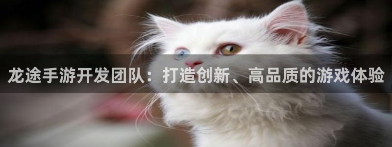 汇丰娱乐官网苹果：龙途手游开发团队：打造创新、高品质的游戏体