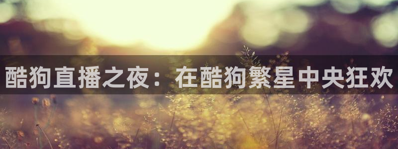 88看球直播体育：酷狗直播之夜：在酷狗繁星中央狂欢