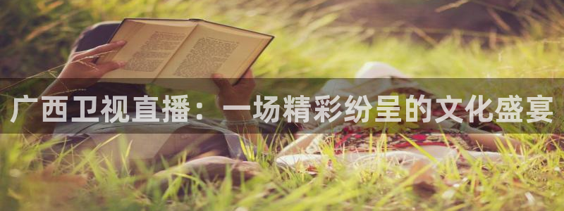 88看球直播官网入口：广西卫视直播：一场精彩纷呈的文化盛宴