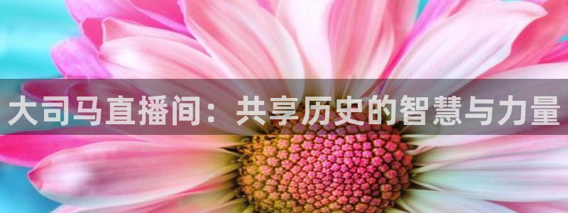 88看球nba直播免费下载：大司马直播间：共享历史的智慧与力量