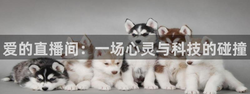 88看球体育直播：爱的直播间：一场心灵与科技的碰撞