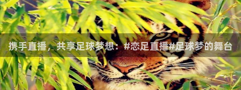 88看球直播app下载：携手直播，共享足球梦想：#恋足直播#足球梦的舞台