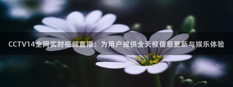 nba直播免费观看直播在线88看球：CCTV14全网实时视频直播：为用户提供全天候信息更新与娱乐体验