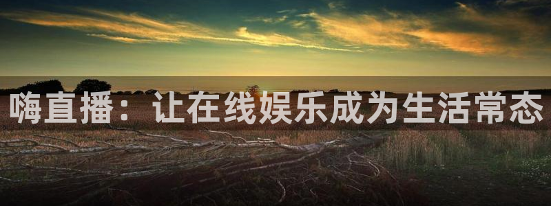 88看球体育直播：嗨直播：让在线娱乐成为生活常态