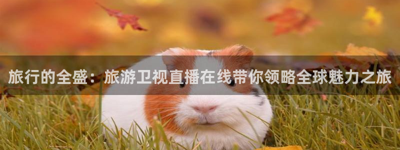 88看球直播 在线观看：旅行的全盛：旅游卫视直播在线带你领略全球魅力之旅
