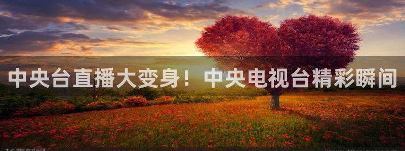 88看球nba免费直播：中央台直播大变身！中央电视台精彩瞬间