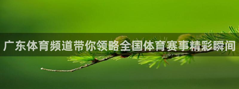 88看球nba直播吧：广东体育频道带你领略全国体育赛事精彩瞬间