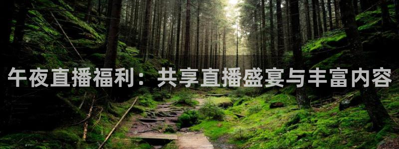88看球体育直播：午夜直播福利：共享直播盛宴与丰富内容
