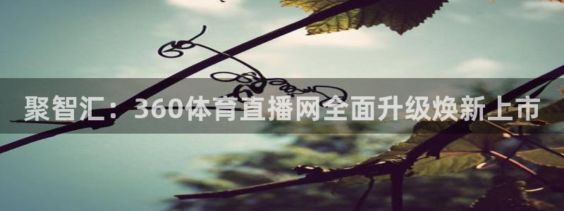88看球直播 在线观看：聚智汇：360体育直播网全面升级焕新上市