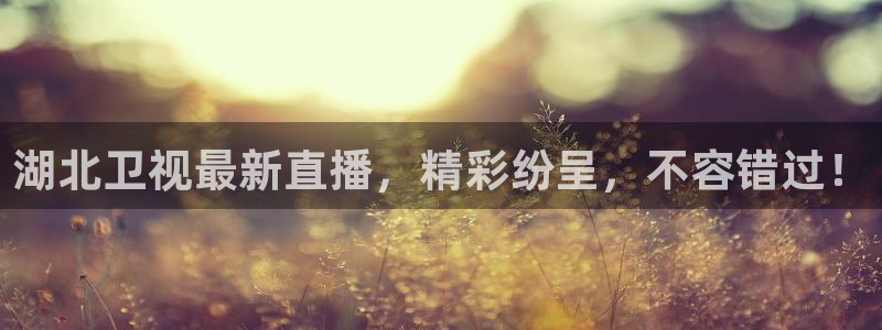 88看球直播：湖北卫视最新直播，精彩纷呈，不容错过！