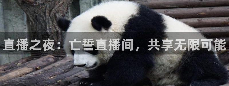 nba直播在线观看88看球：直播之夜：亡誓直播间，共享无限可能