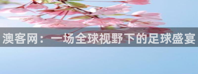88看球直播官网：澳客网：一场全球视野下的足球盛宴