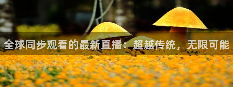 nba直播在线88看球：全球同步观看的最新直播：超越传统，无限可能